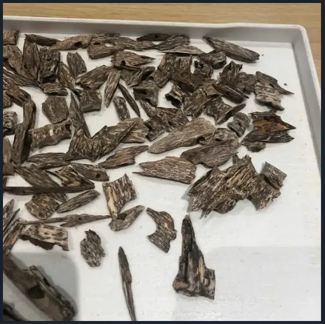 Premium Vietnamese Natural “Kien” Agarwood Chips – High-Oil Oud Pieces for Home &amp; Ritual Use
